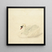 Cygne tuberculé - Aert Schouman — quadro incorniciato alla parete