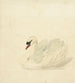 Cygne tuberculé - Aert Schouman — vista dell’opera