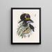 Parotia de six pence - Daniel Giraud Elliot — gerahmtes Bild an der Wand