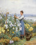Girasoli - Daniel Ridgway Knight — vista dell’opera