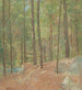 Nei boschi di pini - Emil Carlsen — vista dell’opera