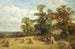 Un campo di mais a West Malvern - David Bates — vista dell’opera