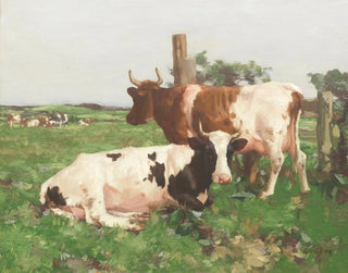 David Gauld - Ayrshire Cattle.webp