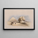 Il Grande Sfinge e le piramidi di Giza - David Roberts — quadro incorniciato alla parete