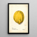 Riproduzione del dipinto Carica papaya - Deborah Griscom Passmore