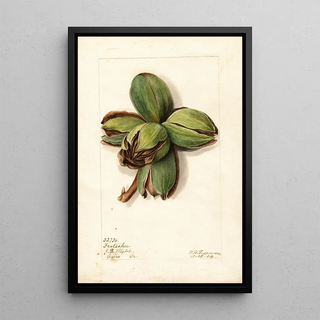 Deborah Griscom Passmore - Carya Frotscher.webp