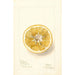 Citrus paradisi Thornton No - Deborah Griscom Passmore — vista dell’opera