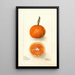 Riproduzione del dipinto Citrus sinensis UnShu - Deborah Griscom Passmore
