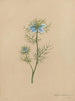Album acquerello di Deborah Griscom Passmore Pl05 - Deborah Griscom Passmore — vista dell’opera