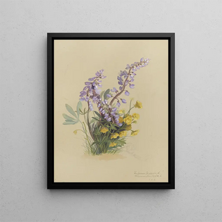 Deborah Griscom Passmore - Deborah Griscom Passmore watercolor album Pl10.webp