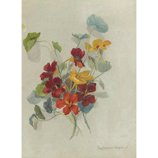 Deborah Griscom Passmore - Deborah Griscom Passmore watercolor album Pl13.webp