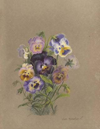 Deborah Griscom Passmore - Deborah Griscom Passmore watercolor album Pl17.webp