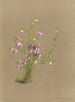 Album Aquarell von Deborah Griscom Passmore Pl30 - Deborah Griscom Passmore — Ansicht des Kunstwerks