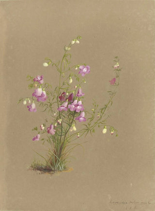 Deborah Griscom Passmore - Deborah Griscom Passmore watercolor album Pl30.webp