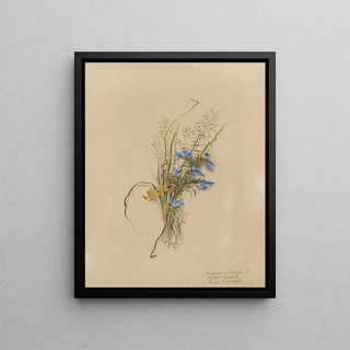 Deborah Griscom Passmore - Deborah Griscom Passmore watercolor album Pl37.webp