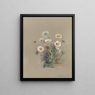 Deborah Griscom Passmore - Deborah Griscom Passmore watercolor album Pl52.webp