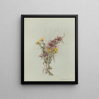 Deborah Griscom Passmore - Deborah Griscom Passmore watercolor album Pl54.webp