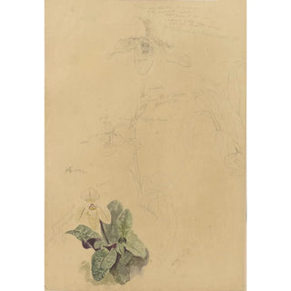 Deborah Griscom Passmore - Deborah Griscom Passmore watercolor album Pl71.webp