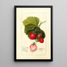 Fragaria Dayton - Deborah Griscom Passmore — gerahmtes Bild an der Wand