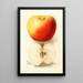 Riproduzione del dipinto Malus domestica Banana - Deborah Griscom Passmore