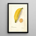 Riproduzione del dipinto Musa Platano Morado - Deborah Griscom Passmore