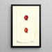 Prunus domestica Heaton - Deborah Griscom Passmore — quadro incorniciato alla parete