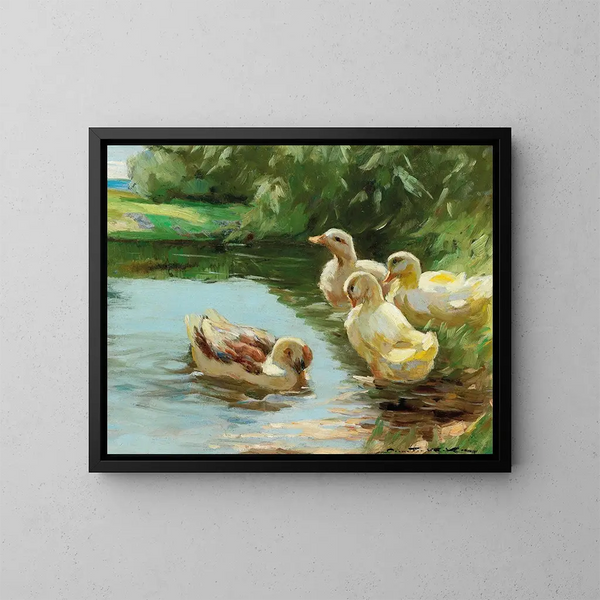 Enten im Wasser - Demeter Koko — gerahmtes Bild an der Wand
