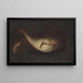 Stillleben mit zwei Fischen - Domenico Grosso — gerahmtes Bild an der Wand