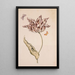 A purple and white tulip with two moths - Dutch School — framed artwork on a wall