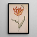 Reproduction of the painting of a tulip with a butterfly - Dutch School