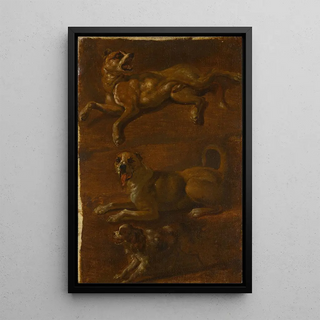 Dutch School - Three studies of dogs.webp