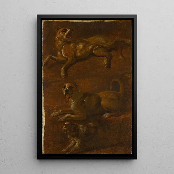Dutch School - Three studies of dogs.webp