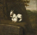 Weißes Eichhörnchen in einer Landschaft - David Klcker Ehrenstrahl — Ansicht des Kunstwerks