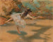 Tänzerin auf Spitze - Edgar Degas — Ansicht des Kunstwerks