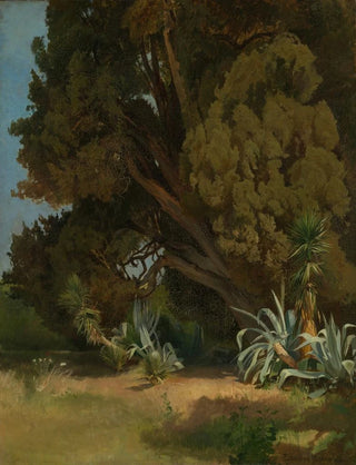 Edmund Kanoldt - Baumstudie aus der Villa dEste in Tivoli.webp