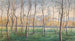 Eine kleine Birkenwald mit Blick auf das Kloster Klosterneuburg - Eduard Ferdinand Höfecker — Ansicht des Kunstwerks