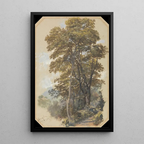 Corpo di Cava 28 giugno 1838 - Edward Lear — quadro incorniciato alla parete