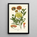 Reproduction of the painting Elegant Gaillarde Painting - Edward Step
