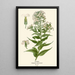 Reproduction of the painting Roquette - Edward Step