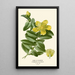 Althéa - Edward Step — framed artwork on a wall