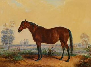 Edward Troye - Dixie in Landscape.webp