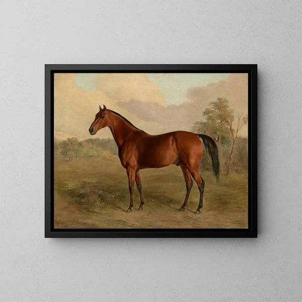 Pic du Kentucky - Edward Troye — gerahmtes Bild an der Wand