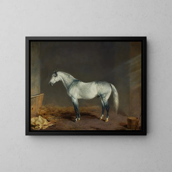 Un cavallo da corsa grigio in una scuderia - Edward Troye — quadro incorniciato alla parete