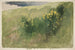 Paesaggio con fiori selvatici - Edwin Austin Abbey — vista dell’opera