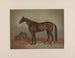Saint Julien, re dei corsa di trot - Edwin Forbes — vista dell’opera