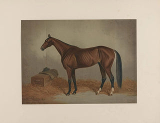 Edwin Forbes - St Julien The king of the trotting turf.webp