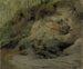 Wald mit einem sandigen Hang - Eero Järnefelt — Ansicht des Kunstwerks