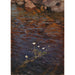 Renoncule d'eau - Eero Järnefelt — vista dell’opera