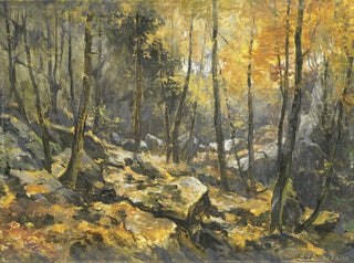 Egbert Rubertus Derk Schaap - Felsenmeer.webp