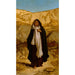 L'Esprit perdu - Elihu Vedder — vista dell’opera